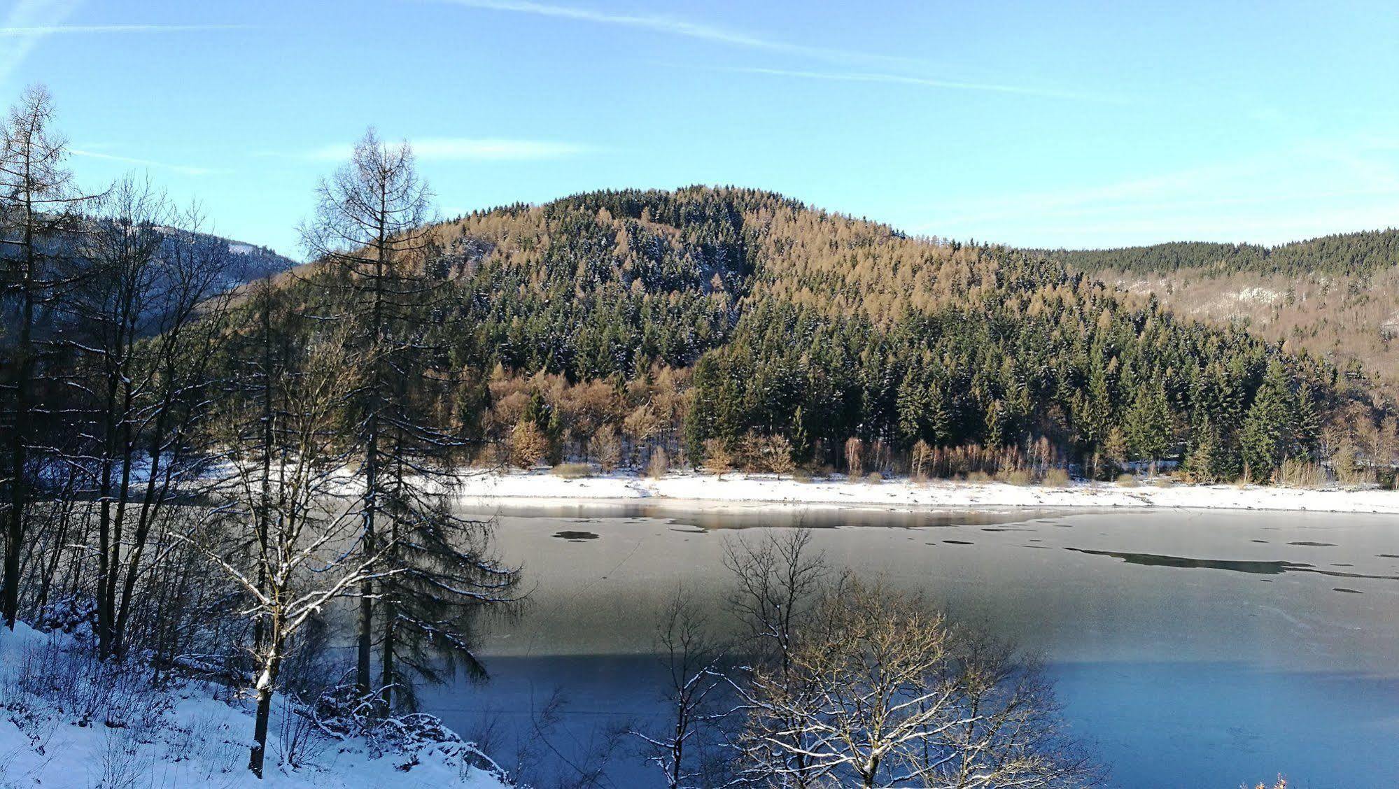 Hotel Berghof Am See Lautenthal Esterno foto